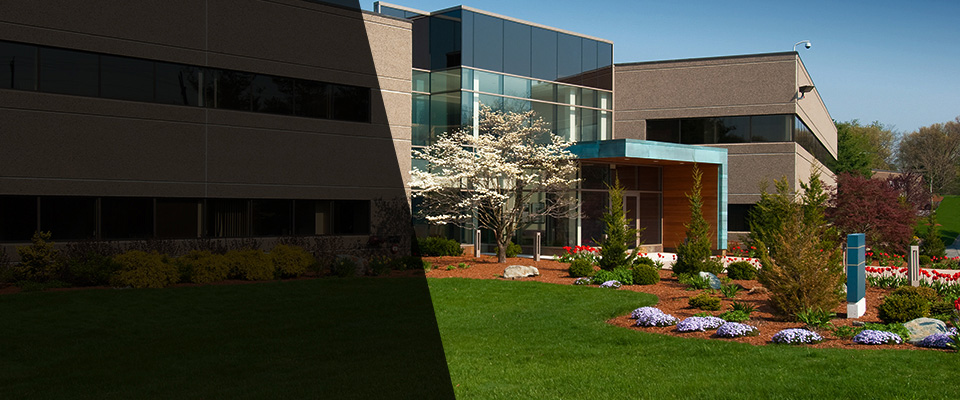 South Orange Landscapers