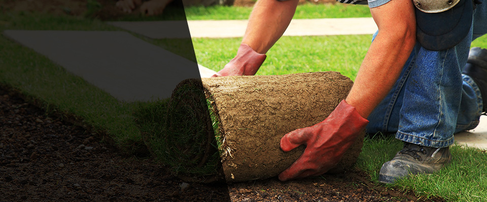 South Orange Landscapers